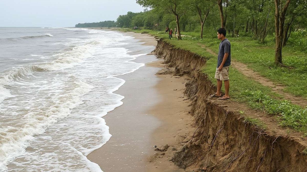 Penurunan Tanah dan Kenaikan Air Laut, Ancaman Ganda bagi Pesisir Jawa