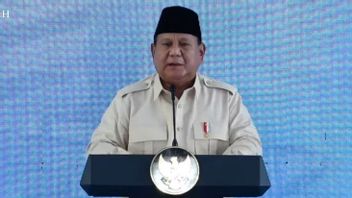 Resmikan KEK di Batang Jateng, Presiden Prabowo: Kita Harapkan Menjadi Shenzhen-nya Indonesia, Insyaallah