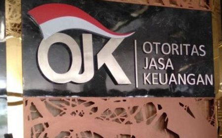 8 Calon Dewan Anggota DK Ojk: Berikut Beberapa Profilnya