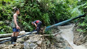 Akui Debut Air di Jayapura Turun, Pemkot Minta Warga Tak Tebang Pohon Sembarangan 