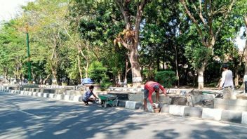 After Cutting Dozens Of Palm Tree, The Median Arrangement Project For Jalan Udayana Mataram Expenditures Rp600 Million Completed