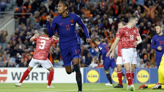 Calvin Stengs' Hat-Trick, Netherlands Qualified For Euro 2024 After Defeating Gibraltar Half A Dozen Goals