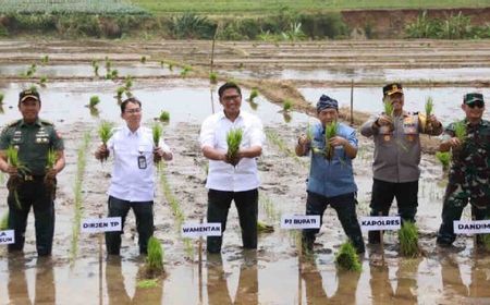 Wamentan Sudaryono Pastikan Ketersediaan Pupuk Guna Kejar Masa Tanam di Oktober