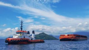 Larangan Ekspor Batu Bara Dibuka, Kemenhub Terbitkan Izin Berlayar untuk 18 Kapal