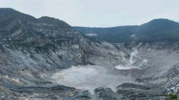 本周登陆帕拉胡山的活动有所增加