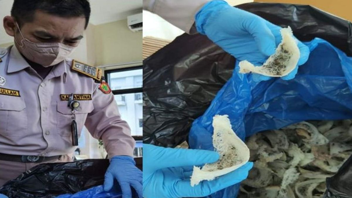South Kalimantan Quarantine Checks 501 Kg Of Swallow's Nest Worth IDR 3.7 Billion