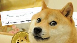 Dogecoin a grimpé en flèche de 27%, Shiba Inu?