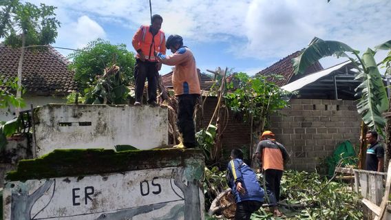 Puting Beliung di Situbondo Rusak 163 Rumah 