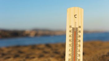 Apa Itu Heatwave: Berikut Penjelasan dan Penyebabnya