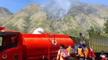 Karhutla Habisi 60 Hektare Perkebunan di Banggai Sulteng Tadi Malam, Si Jago Merah Masih Belum Padam