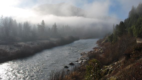 Selamatkan Habitat Salmon, AS Setujui Pemindahan Empat Bendungan di Perbatasan California-Oregon