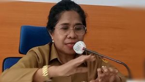 171 Ibu Meninggal Saat Melahirkan, Dinas NTT Klaim Angkanya Menurun