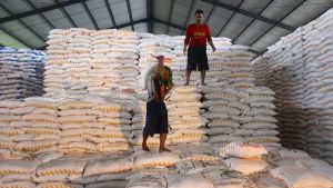 Pupuk Subsidi di Puncak Musim Tanam Dipastikan Tersedia