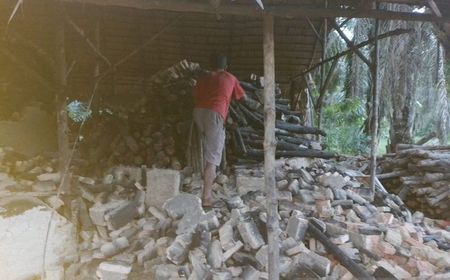 Produksi Arang, Pelaku Pembalakan Hutan Bakau di Langkat Sumut Ditangkap