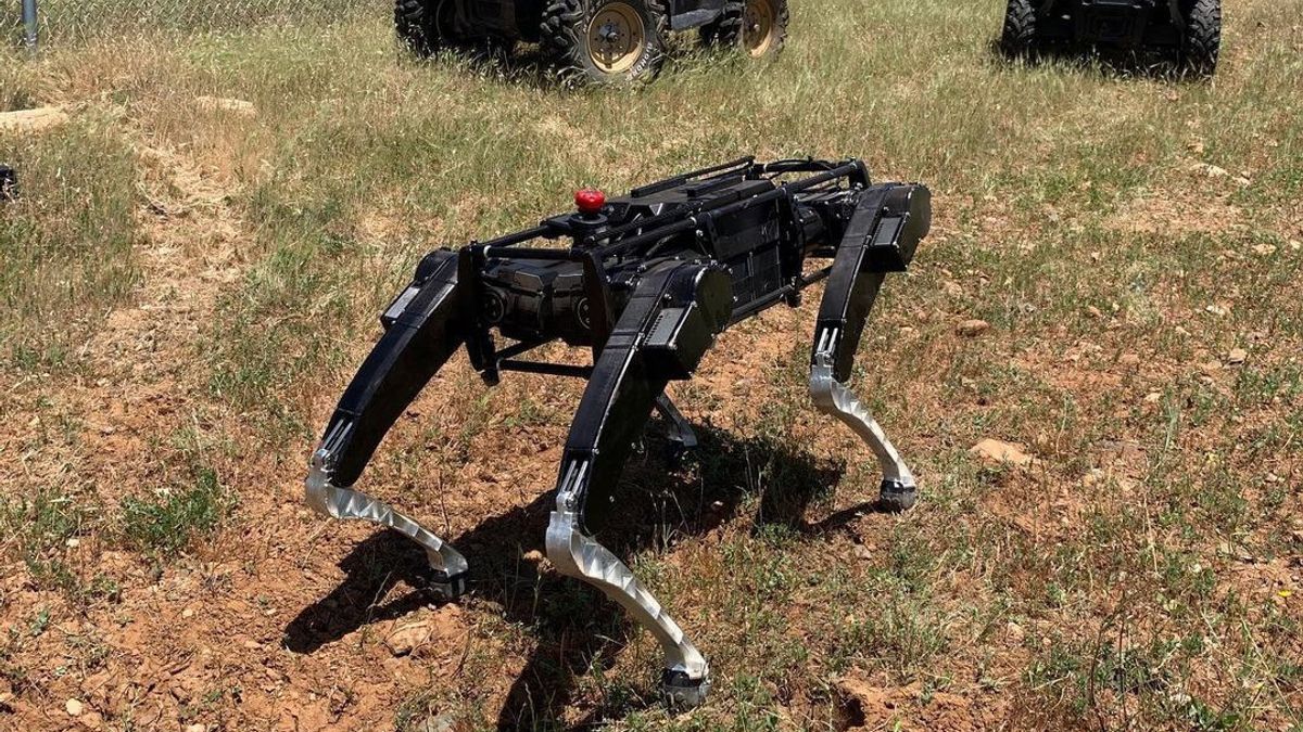 US Robot Dog Tests For Patrol On Mexico Border Criticized By Politicians And Human Rights Groups