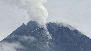 Merapi Mengeluarkan Tiga Kali Guguran Lava Sejauh 400-500 Meter
