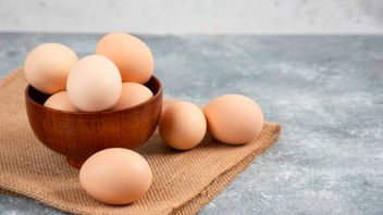 フェルチルチキンエッグは消費に推奨されていません、IPB専門家はその理由を明らかにします