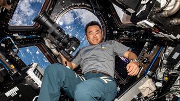 Jepang Kembali Rekrut Astronot Setelah Satu Dekade Lebih: Tak Harus Sarjana Sains dan Prioritaskan Wanita 	