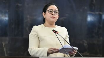 The Issue Of Puan Bartering The Position Of Vice President With The Postponement Of The 2024 Election, Observer: There Are Systematic Efforts To Goal Extension Of Position
