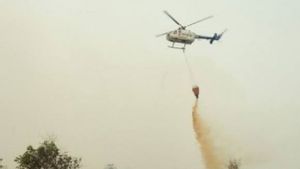 Muncul Titik Api Karhutla Baru, BPBD Riau Kerahkan Helikopter Pemadam