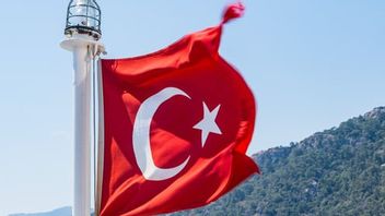Survey Membuktikan! Pengguna Kripto di Turki Melonjak 11 Kali Lipat
