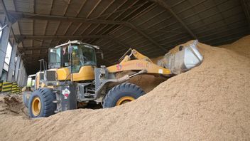SIG Increases Biomass Use As Environmentally Friendly Fuel To 2.7 Million Tons