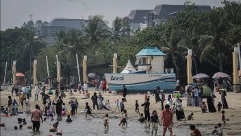 Le nombre de visiteurs à Ancol pendant les vacances de Noël a augmenté de 30 % par rapport à l'année dernière