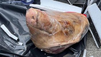 阿杜·多巴努力加速办公室的猪头恐怖!