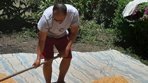Berbagai Kesibukan Mantan Pegawai KPK Setelah Didepak Akhir September Lalu, Ada yang Jualan Nasi Goreng Hingga Bertani