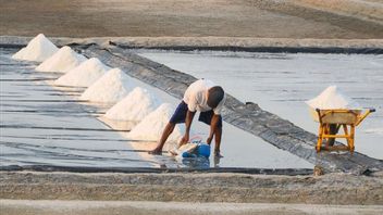 KKP Bidik 1.000 Hektare Lahan di NTT jadi Wilayah Sentra Garam Nasional