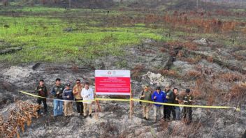 irai baisse la main : concessions de PT FWL et CMI à Kalbar ont été scellées après les incendies de forêt