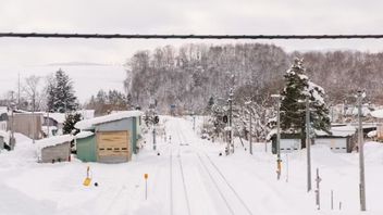 日本での極端な雪の降雨、30人が死亡