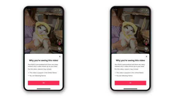 TikTok Luncurkan Fitur Baru untuk Mengetahui Kenapa Konten Tersebut Menjadi FYP