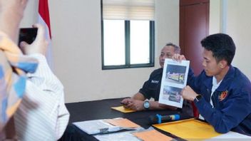 Polisi Telusuri Keterlibatan Jaringan Penyelundup Kayu Ilegal di Kaltim