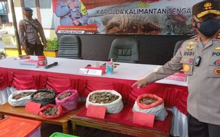 4 Penjual Sisik Trenggiling di Kalteng Terancam 5 Tahun Penjara