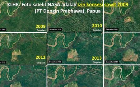 Fakta Mengagetkan di Balik Foto Hutan Papua dari Satelit NASA: Izin Sawit dari MS Kaban