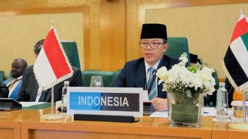 Menlu Sugiono Tegaskan Israel Lakukan Pelanggaran Berat Hukum Internasional karena Tidak Memenuhi Kewajibannya
