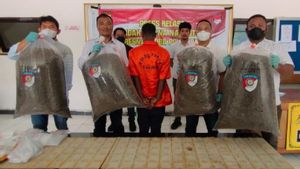 Marak Ganja di Entrop, Pria Asal Papua Nugini Edarkan 21 Kg Ganja Ditangkap di Jayapura