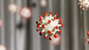 Varian Virus AY.42 Mengkhawatirkan di Inggris, Pemerintah Indonesia Terus Lakukan Monitoring