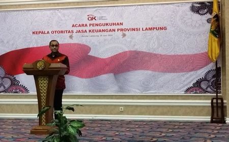 OJK Sebut Ekonomi Lampung Tumbuh 3,30 Persen di Triwulan 1 2024