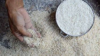 住民はシラミでいっぱいの黄色い米を受け取り、タンボラ・カマトはメンソス・リスマに介入を求める