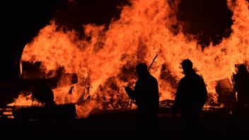 24 People Injured In Forest Fires In Israel