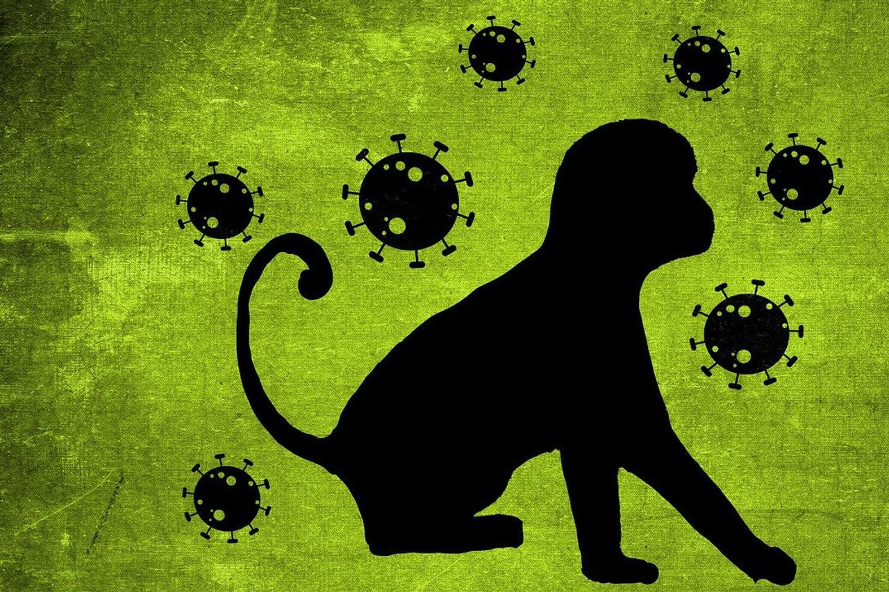 保健省は この方法でサル痘を予防するための措置を講じます