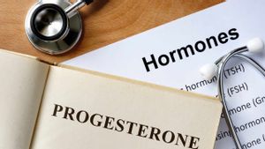 Apa Itu Hormon Progesteron? Fungsi dan Cara Meningkatkannya Secara Alami