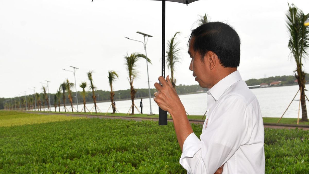 Losing At The Appeal Level, Jokowi Asked Not To Disrupt Head Of Air Pollution After