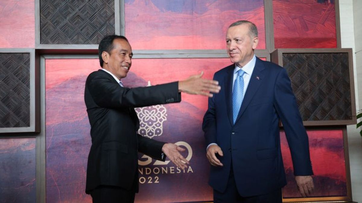 Jokowi Appreciated Turkey's Role In Reviving The Black Sea Initiative