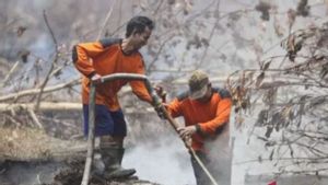 Masuk Kemarau, Ribuan Hektare di 11 Kecamatan Purwakarta Terbakar