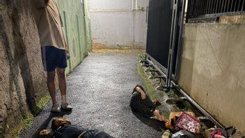 경찰, 두 아르티스트가 고용주가 격분해서 두려워서 코스코안 4층에서 뛰어내린다