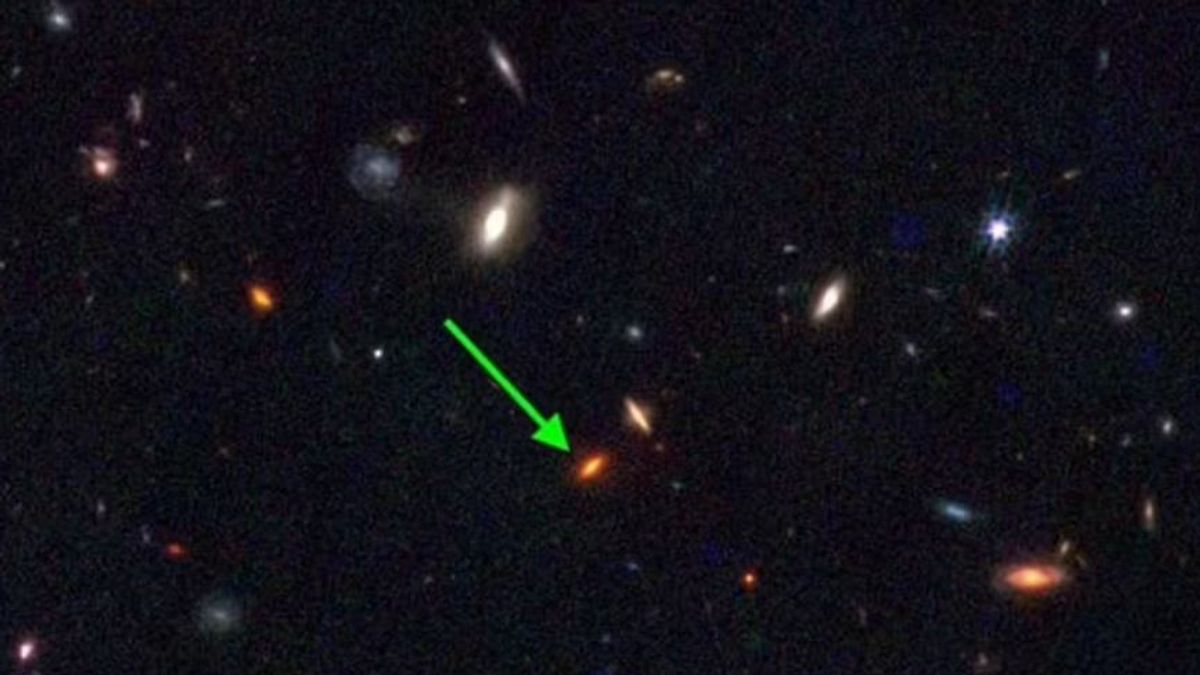The Discovery Of The ZF-UDS-7329 Giant Galaxy Makes Astronomers Kepo