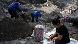 Makin Sering Diguyur Hujan, Aktivitas Penambangan Pasir di Lereng Gunung Merapi Diminta Waspada Longsor